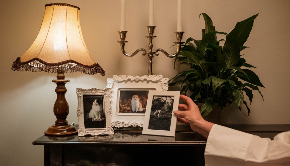 Movers Packers in Ras_Al_Khaima